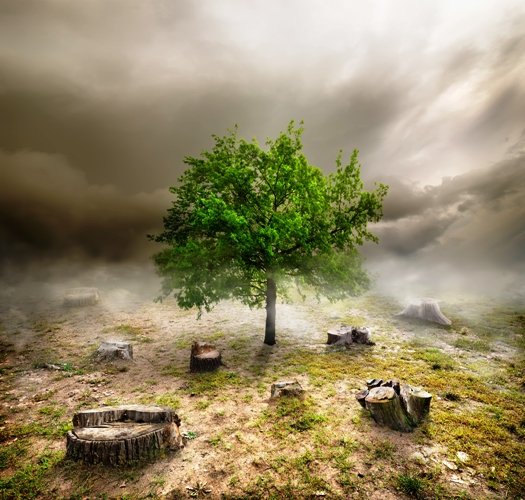 Foto: Reprodução/ ttp://www.shutterstock.com/