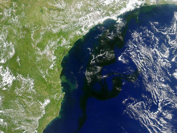NASA Earth Observatory/Jesse Allen.
