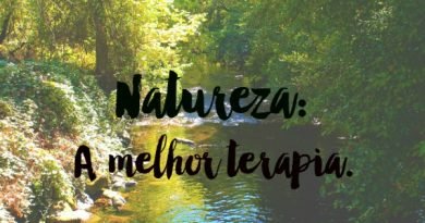 Áreas verdes nas cidades diminuem doenças crônicas Áreas verdes nas cidades diminuem doenças crônicas