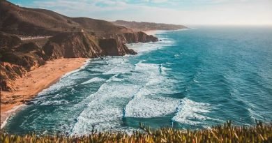 Neurocientistas recomendam: Visite o mar com frequência Neurocientistas recomendam: Visite o mar com frequência