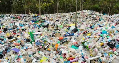 Coca, Pepsi e Nestlé: As maiores produtoras de lixo plástico do mundo Coca, Pepsi e Nestlé: As maiores produtoras de lixo plástico do mundo