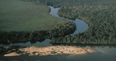 Desmatamento na Amazônia cresceu 13,7% entre 2017 e 2018 Desmatamento na Amazônia cresceu 13,7% entre 2017 e 2018