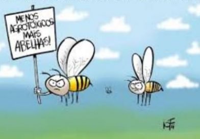 Colmeias inteligentes para frear o desaparecimento de abelhas no mundo